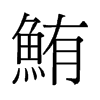 鮪的舊字形