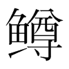 鱒的韓國明朝體