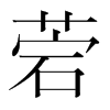 菪的韓國明朝體