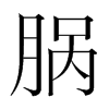 腡的韓國明朝體