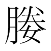 媵的韓國明朝體