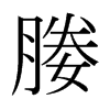 媵的日本明朝體