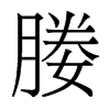 媵的香港明體