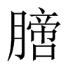 膪的中國(guó)大陸宋體