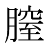膣的日本明朝體