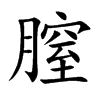 膣的楷體
