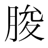 脧的韓國明朝體