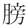膀的韓國明朝體