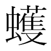 蠖的韓國明朝體