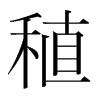 稙的韓國(guó)明朝體