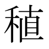 稙的日本明朝體